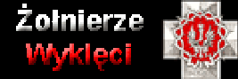 Żołnierze Wyklęci. Zapomniani Bohaterowie